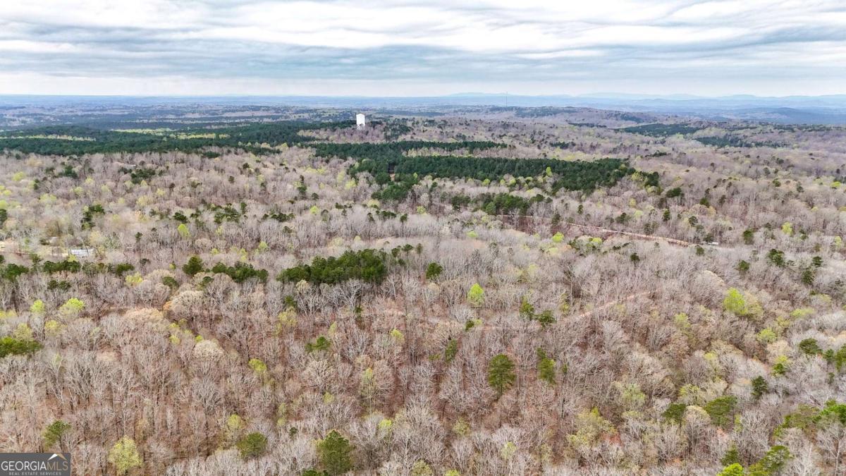 0 Felton Rockmart Road Buchanan, GA 30113 - Photo 42 of 47