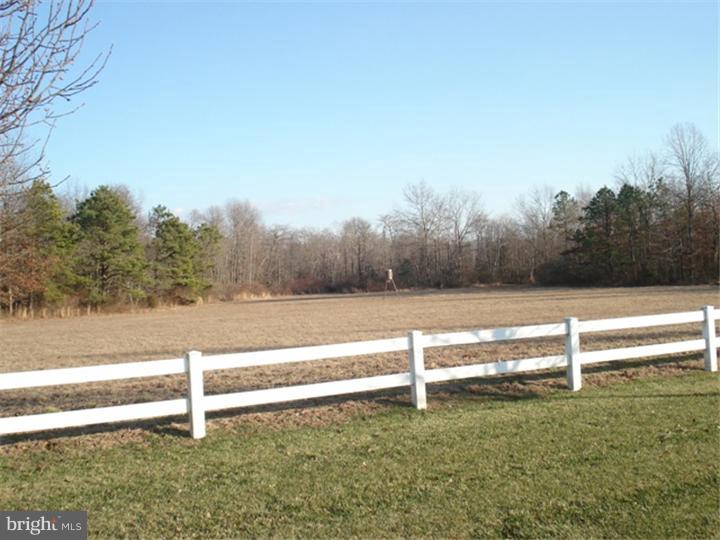 138 Pancoast Mill Road Buena, NJ 08310 - Photo 17 of 25 Side Yard