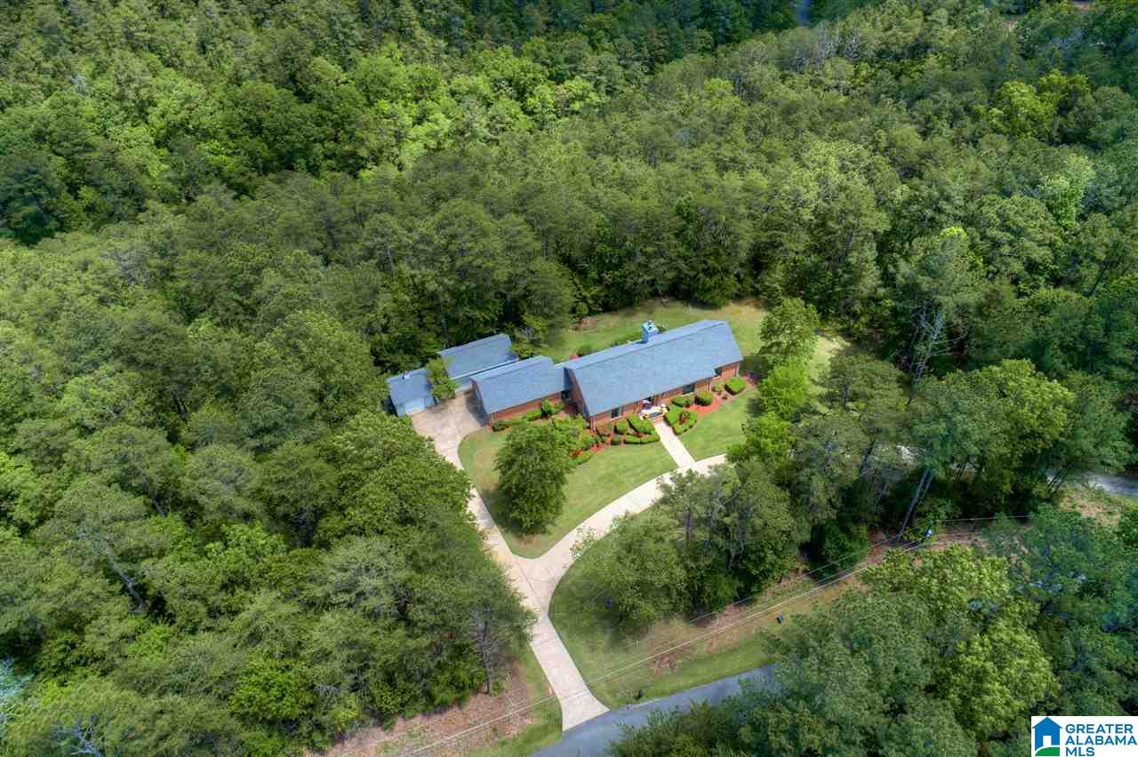 4201 Cliff Drive Jasper, AL 35504 - Photo 28 of 36