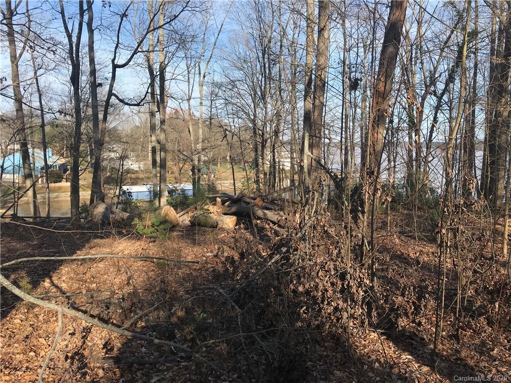 3954 Cedar Wood Trail, Unit 1 Terrell, NC 28682 - Photo 8 of 14 a view of a yard with trees