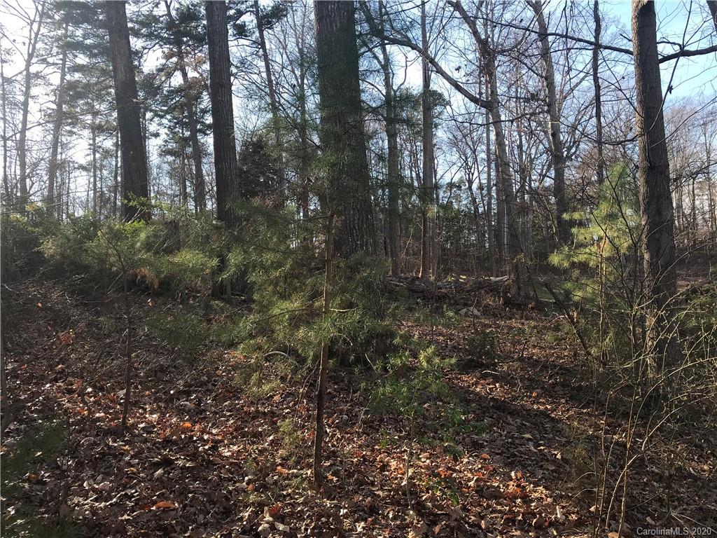 3954 Cedar Wood Trail, Unit 1 Terrell, NC 28682 - Photo 10 of 14 a view of a forest with trees in the background
