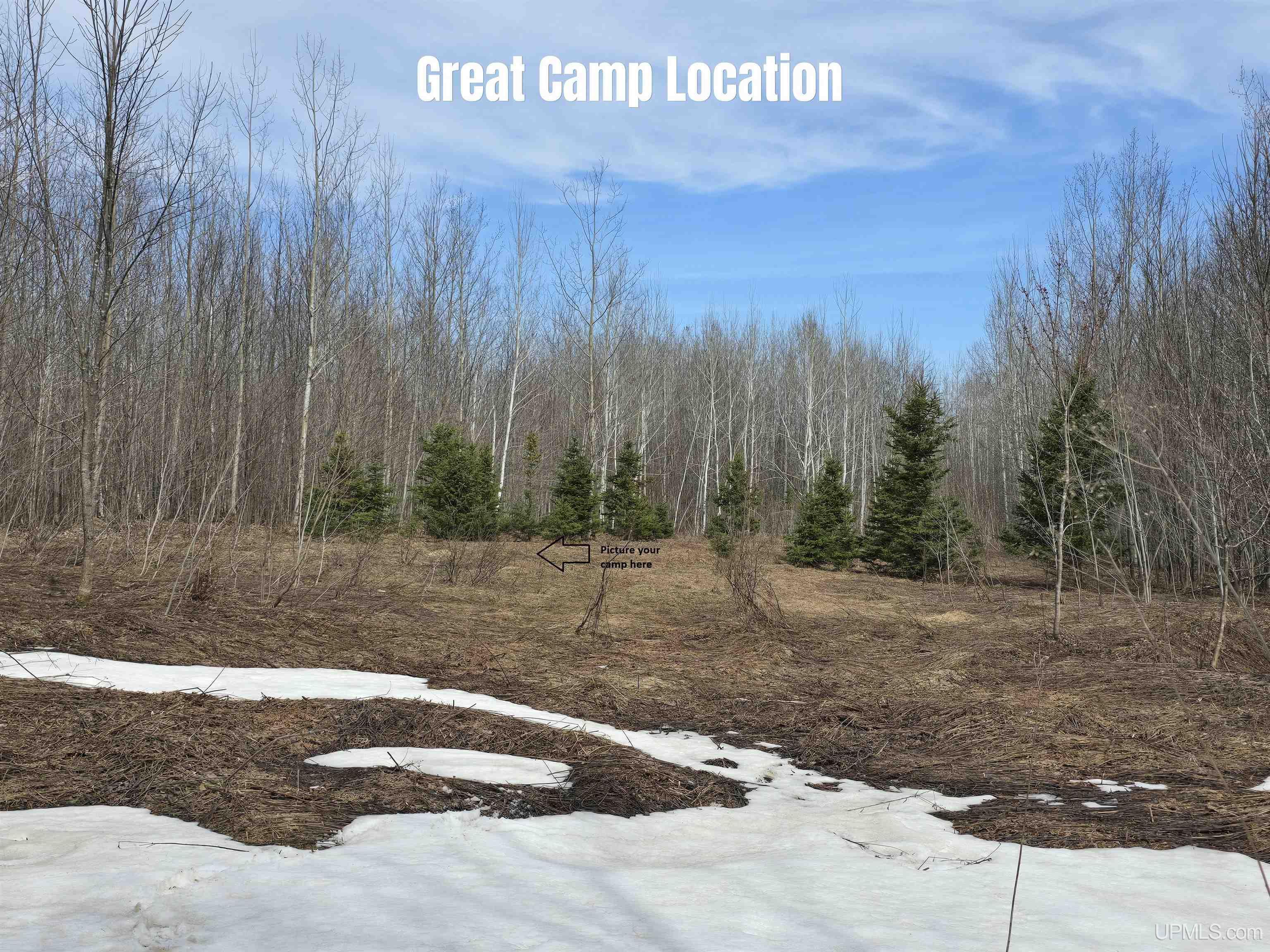 Tbd Woodspur Road Ontonagon, MI 49953 - Photo 2 of 47