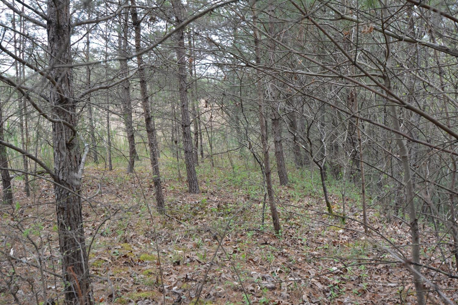 177 Mullins Point Road Campton, KY 41301 - Photo 70 of 85 Photo 70