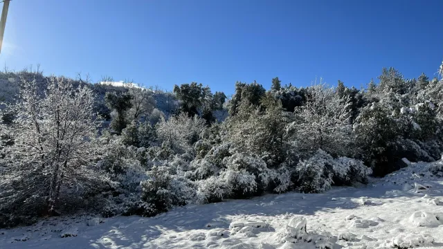 $795,000 | 17009 Iron Springs Road, Julian, CA 92036