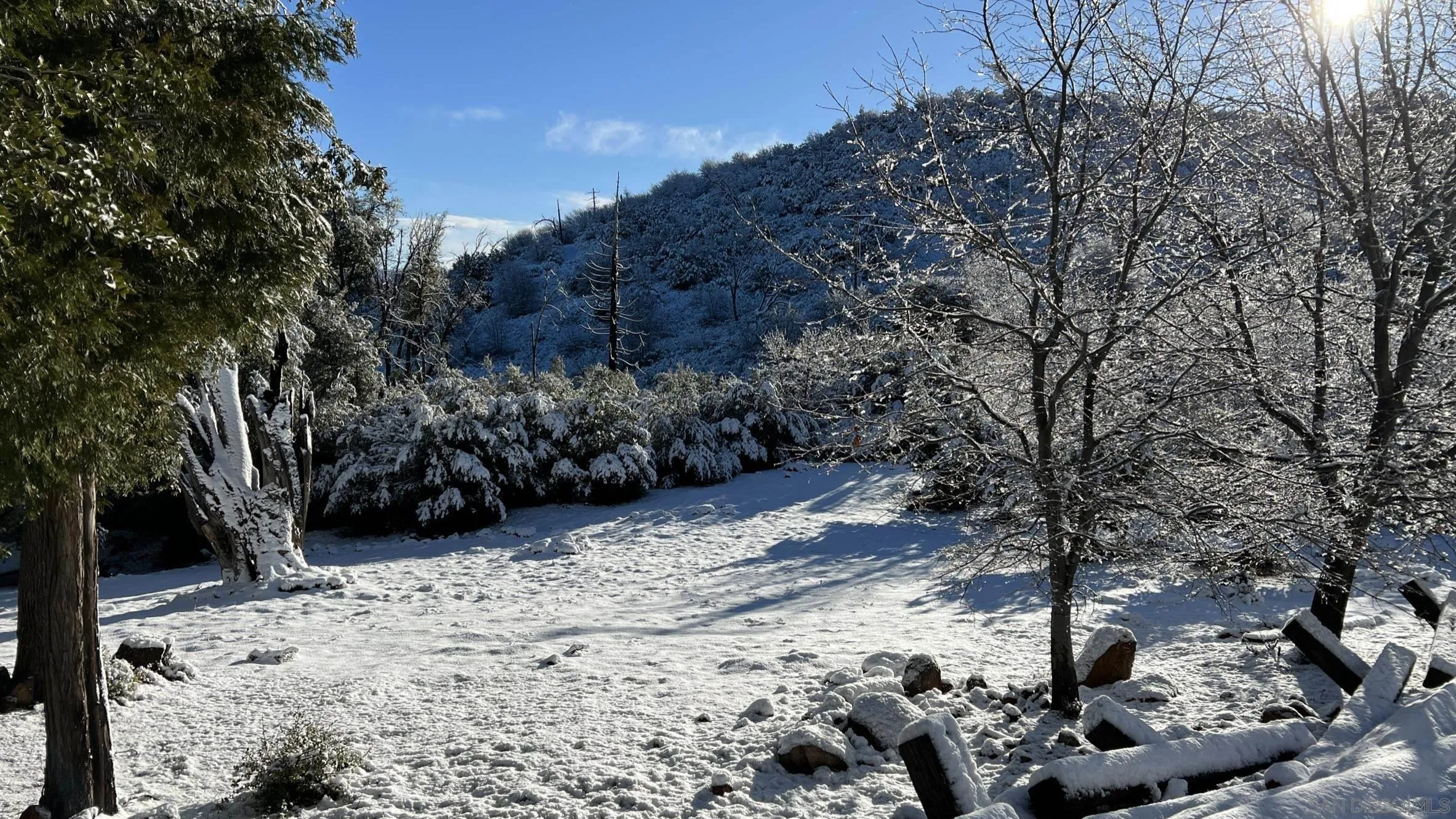 17009 Iron Springs Road Julian, CA 92036 - Photo 59 of 70 a view of a yard covered with snow in a forest