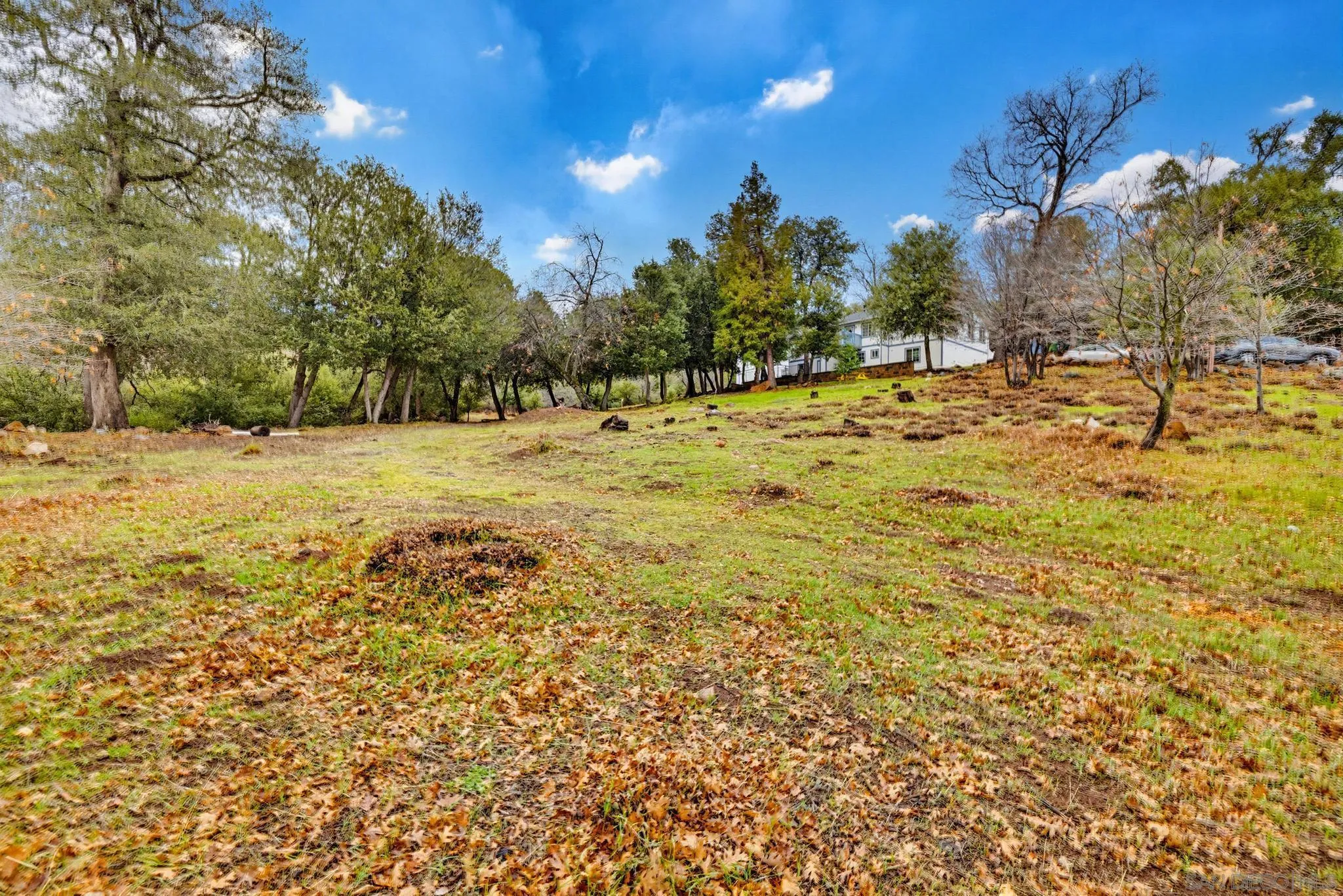 17009 Iron Springs Road Julian, CA 92036 - Photo 69 of 70 a view of yard with trees