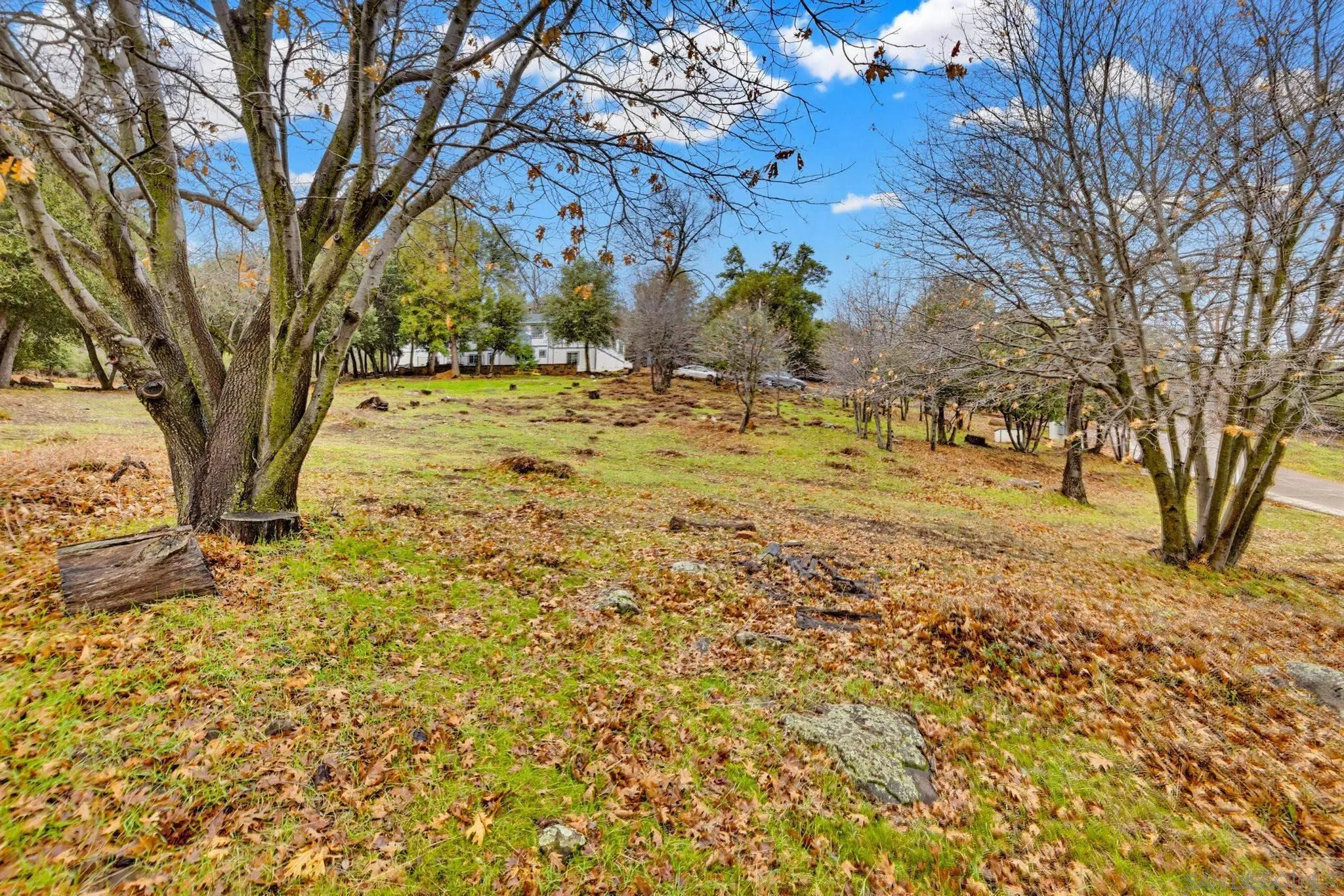 17009 Iron Springs Road Julian, CA 92036 - Photo 9 of 70 a view of yard with trees