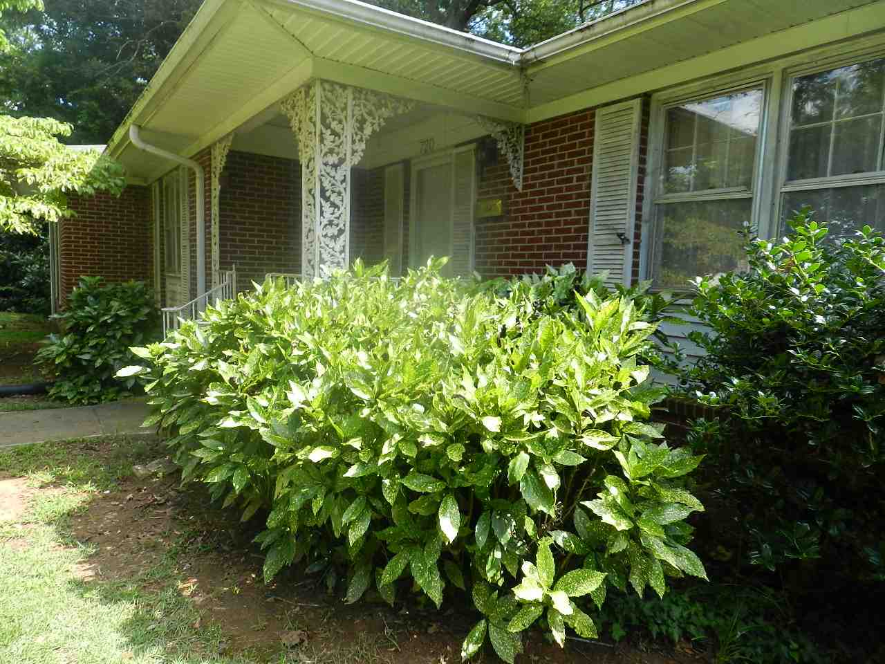 720 Union Street Gaffney, SC 29340 - Photo 4 of 31 Gallery Image 4