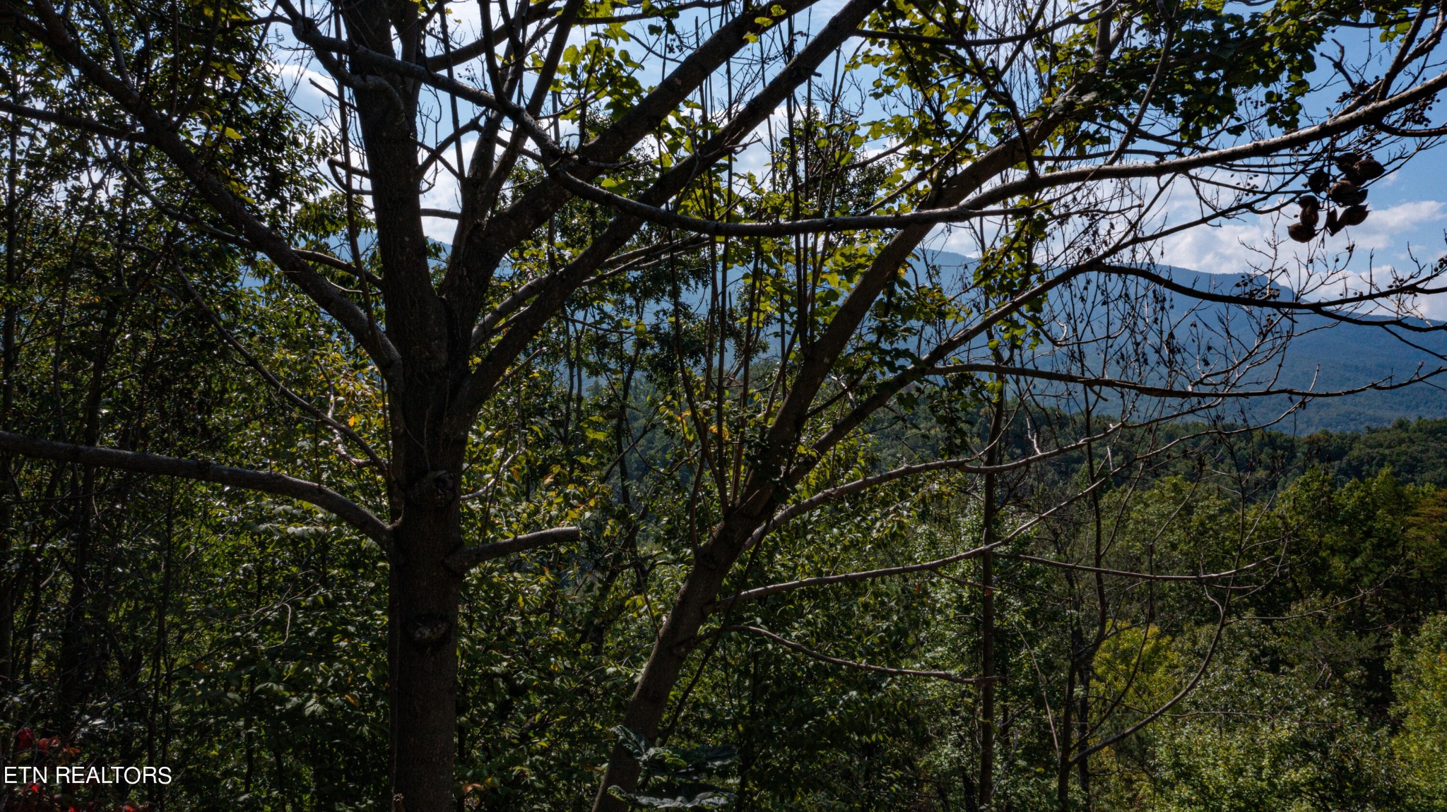 920 Old Field Ridge Way Gatlinburg, TN 37738 - Photo 2 of 6 Gallery Image 2