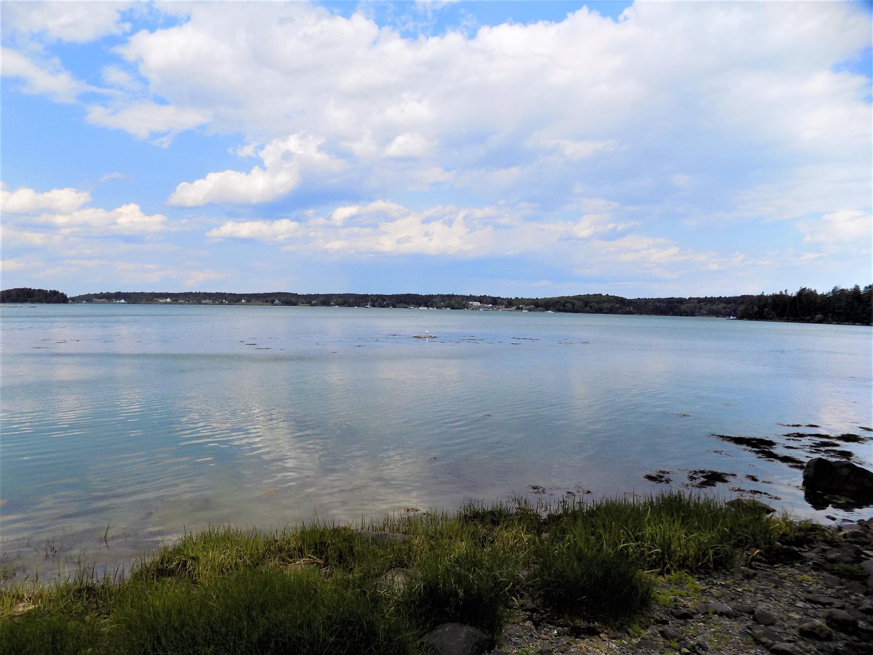 18 Dyers Point Road Addison, ME 04606 - Photo 49 of 50 puffy clouds
