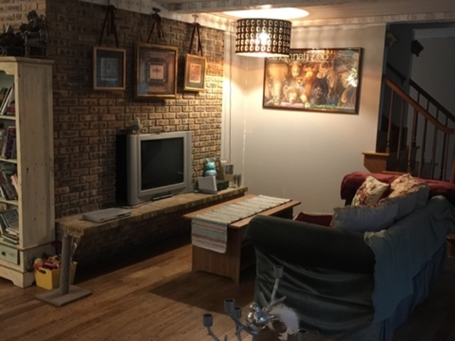 5N135 Powis Road Wayne, IL 60184 - Photo 5 of 13 a room with furniture and a fireplace