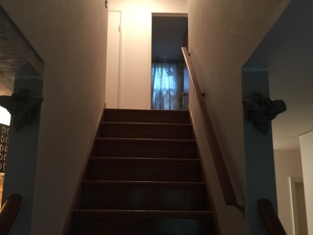 5N135 Powis Road Wayne, IL 60184 - Photo 6 of 13 a view of entryway