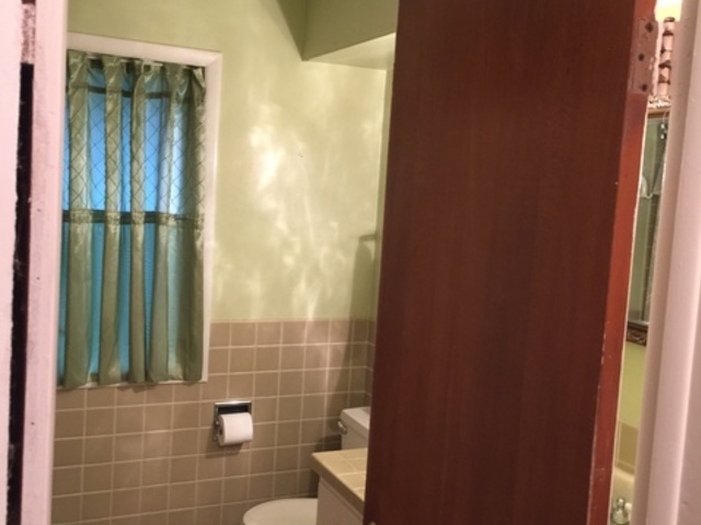 5N135 Powis Road Wayne, IL 60184 - Photo 7 of 13 a bathroom with a shower