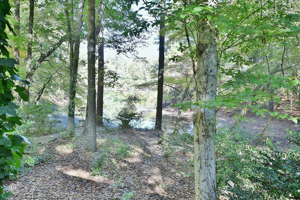 5656 Hamilton Road Pine Mountain, GA 31822 - Photo 48 of 86 View of Lake