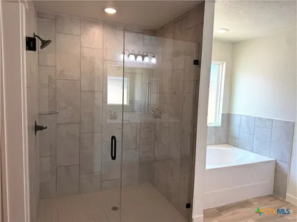 a bathroom with a bathtub and shower
