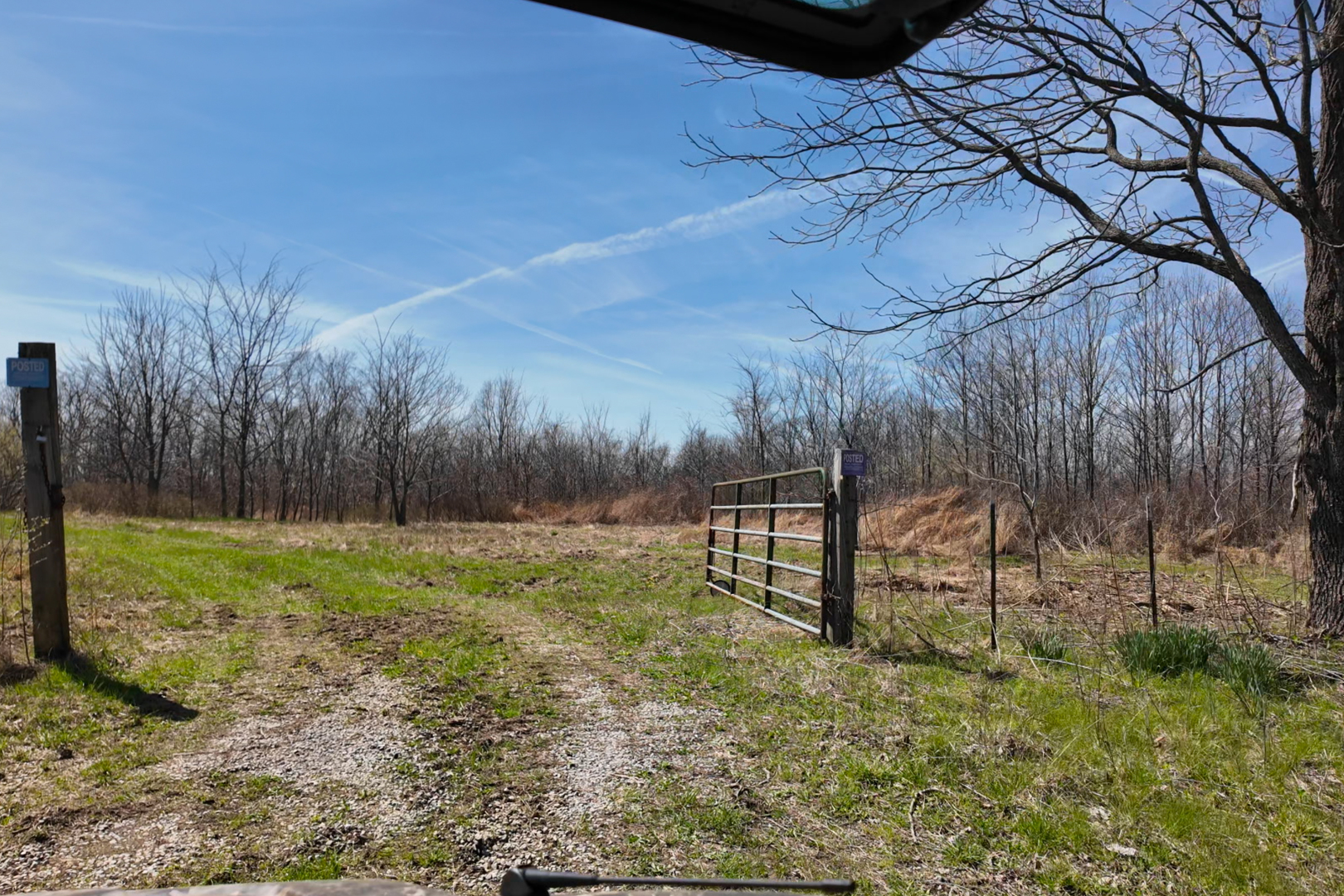 191 Bruce Johnson Road Herod, IL 62947 - Photo 19 of 36 a view of backyard with green space