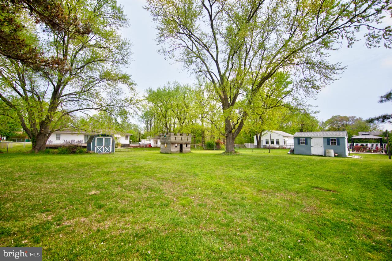 2301 Maple Road Baltimore, MD 21219 - Photo 5 of 28 Large backyard with 2 sheds