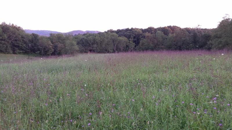 0 Thrush Road Christiansburg, VA 24073 - Photo 1 of 4 Main