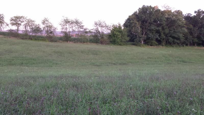 0 Thrush Road Christiansburg, VA 24073 - Photo 3 of 4 20150801_202032 (800x450)