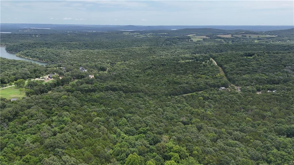 0 Rocky Rd Lane Shell Knob, MO 65747 - Photo 8 of 17