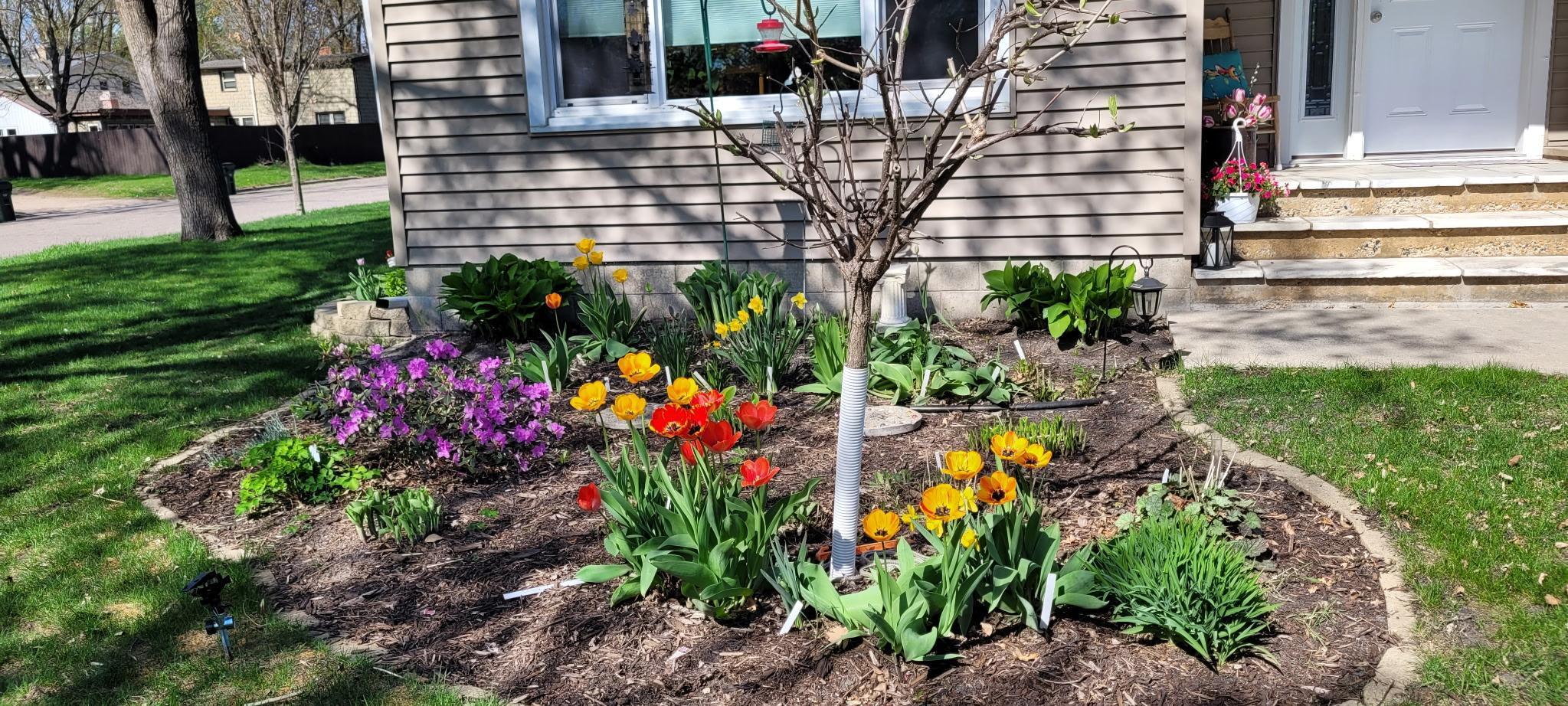 1304 9th Street Southwest Willmar, MN 56201 - Photo 45 of 50