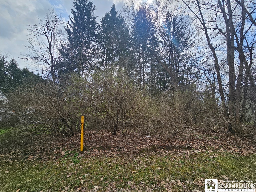 1815 West Fall Road Olean, NY 14760 - Photo 3 of 7