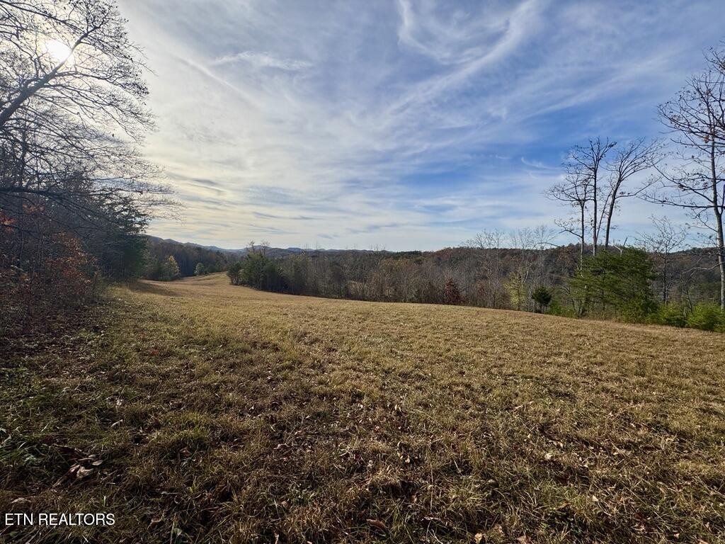 1 Three Point Road Vonore, TN 37885 - Photo 9 of 15 Gallery Image 9