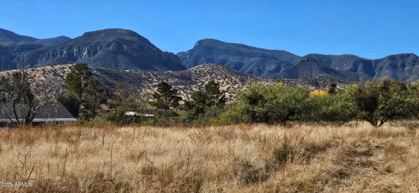 a view of a dry yard