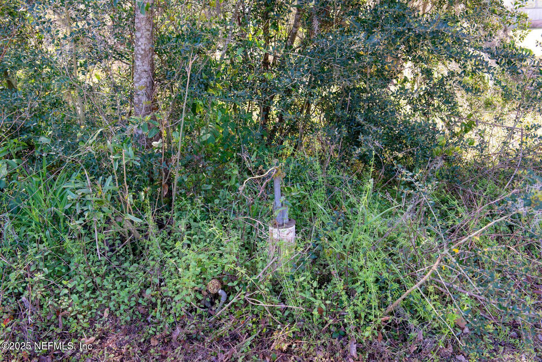 4127 State Rte 100 Starke, FL 32091 - Photo 10 of 40 Starke Lot-1-28