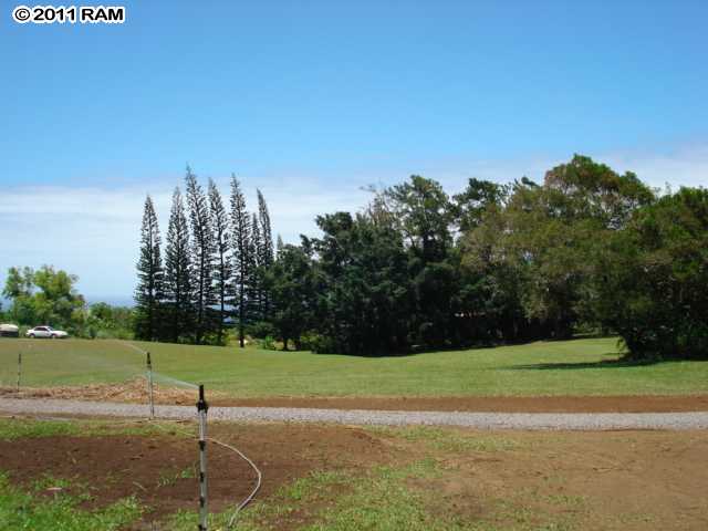 a view of a golf course