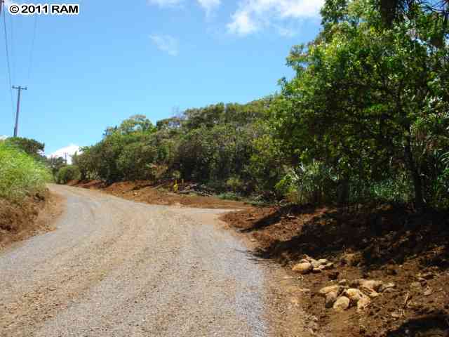 0 South Honokala Road, Unit 2D Haiku, HI 96708 - Photo 4 of 5 a view of a dirt road with trees in the background