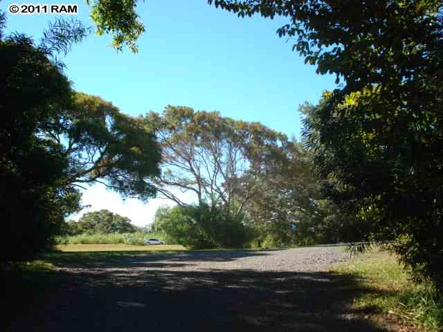 0 South Honokala Road, Unit 2D Haiku, HI 96708 - Photo 5 of 5 a view of a yard
