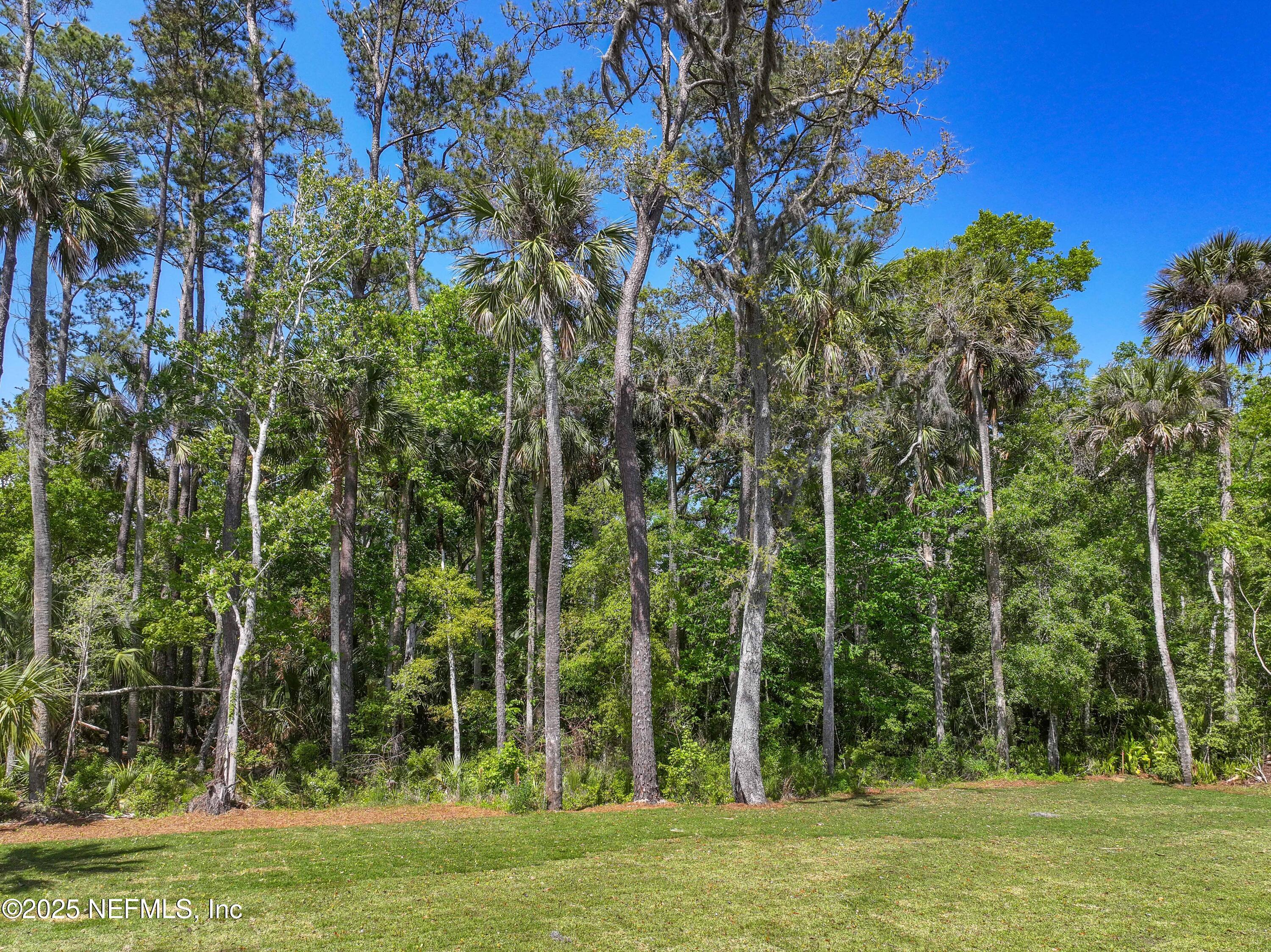 4650 Palm Valley Road Ponte Vedra Beach, FL 32082 - Photo 54 of 80 a view of a park