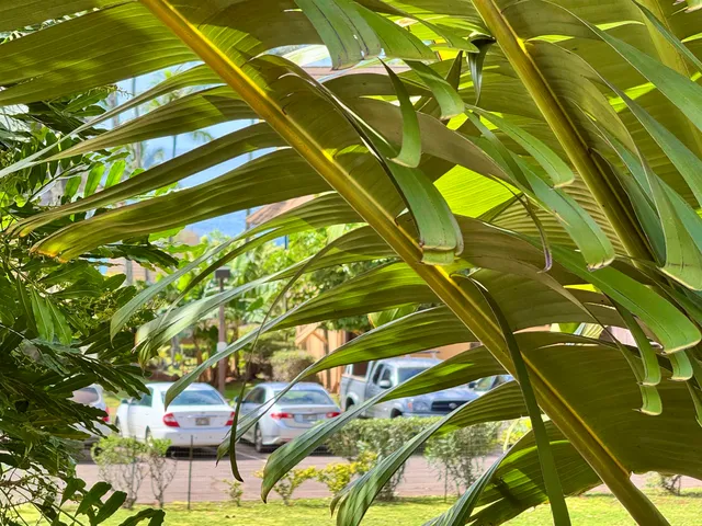 $279,000 | 50 Kepuhi Place, Unit 201, Maunaloa, HI 96770