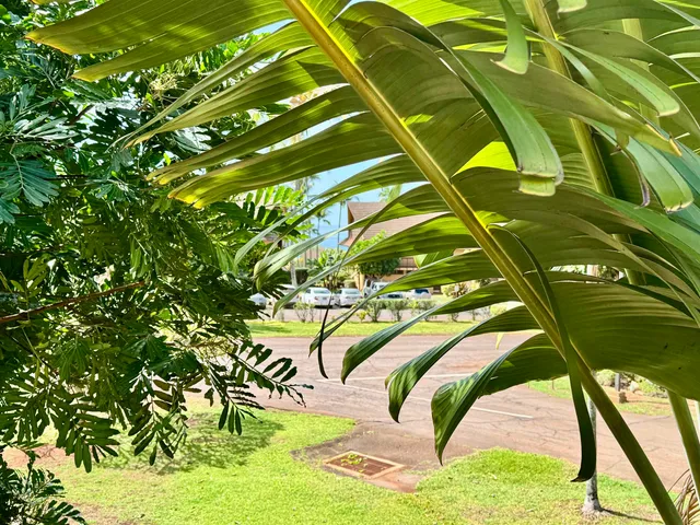 $279,000 | 50 Kepuhi Place, Unit 201, Maunaloa, HI 96770