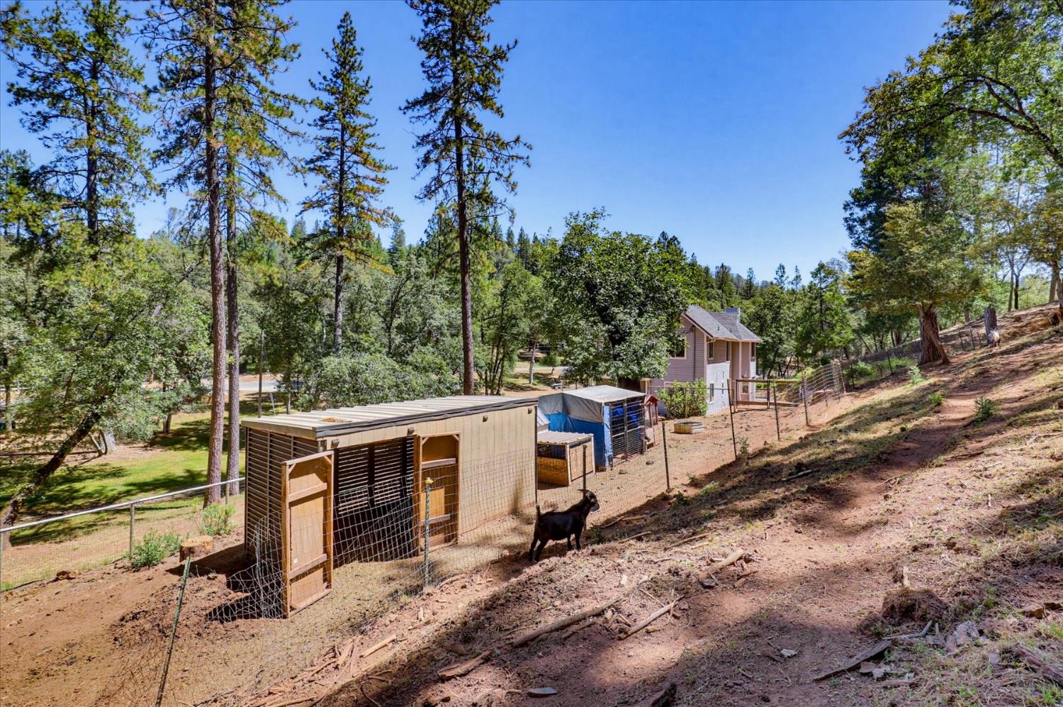 19407 Tiger Tail Road Grass Valley, CA 95949 - Photo 80 of 93