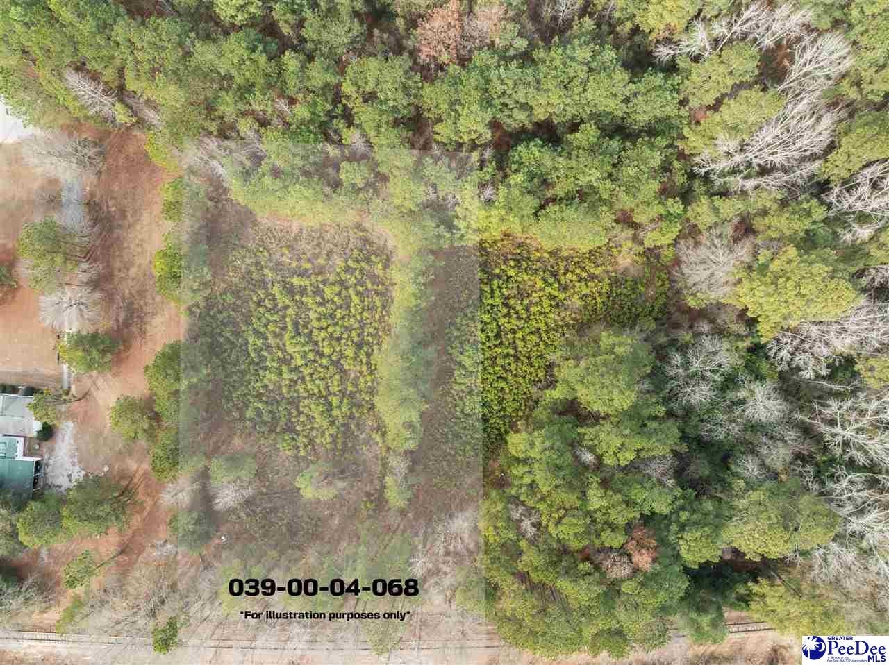 Tbd Berry Road Hartsville, SC 29550 - Photo 1 of 5 Gallery Image 1