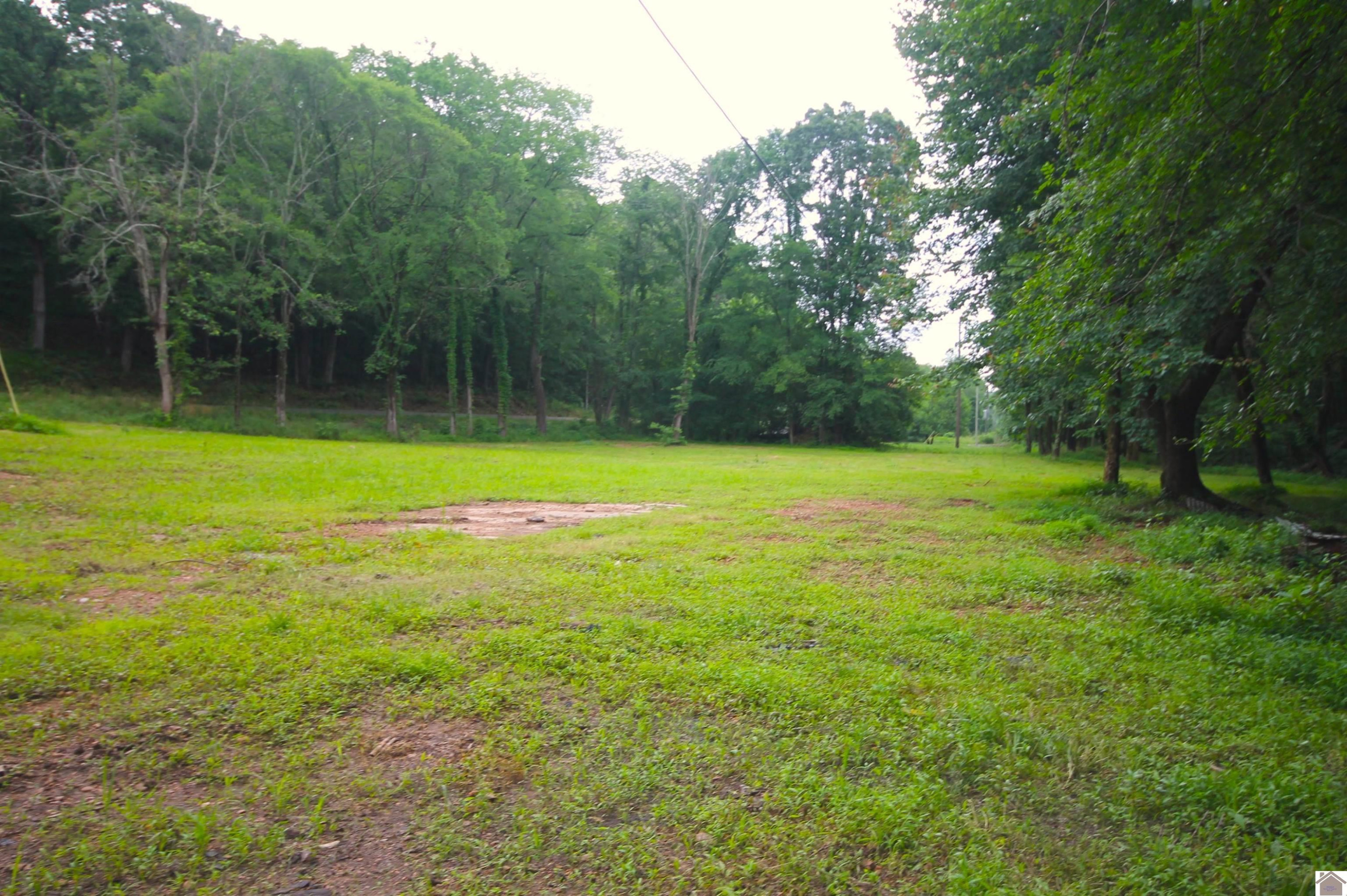 3245 Pottertown Road Murray, KY 42071 - Photo 3 of 4 Photo 3