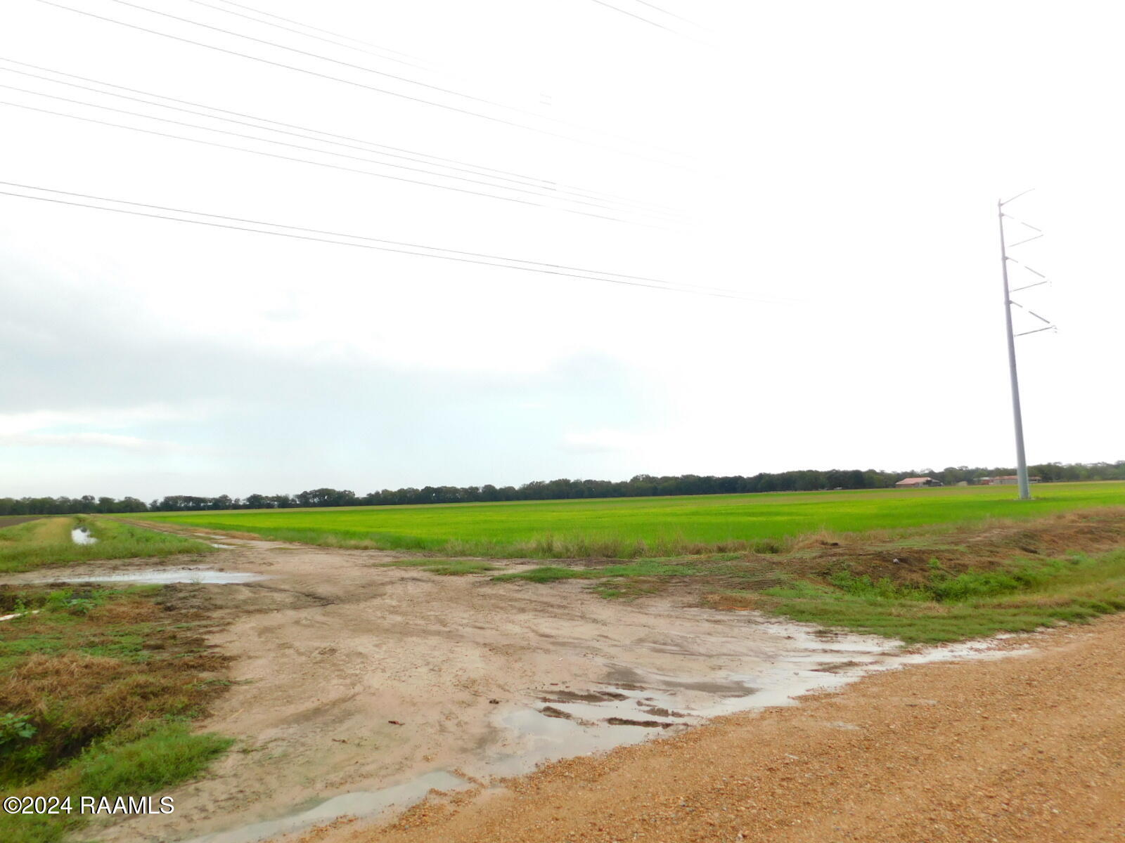 0 Gumpoint Road, Unit 4A 5A Branch, LA 70516 - Photo 2 of 7 DSCN8411