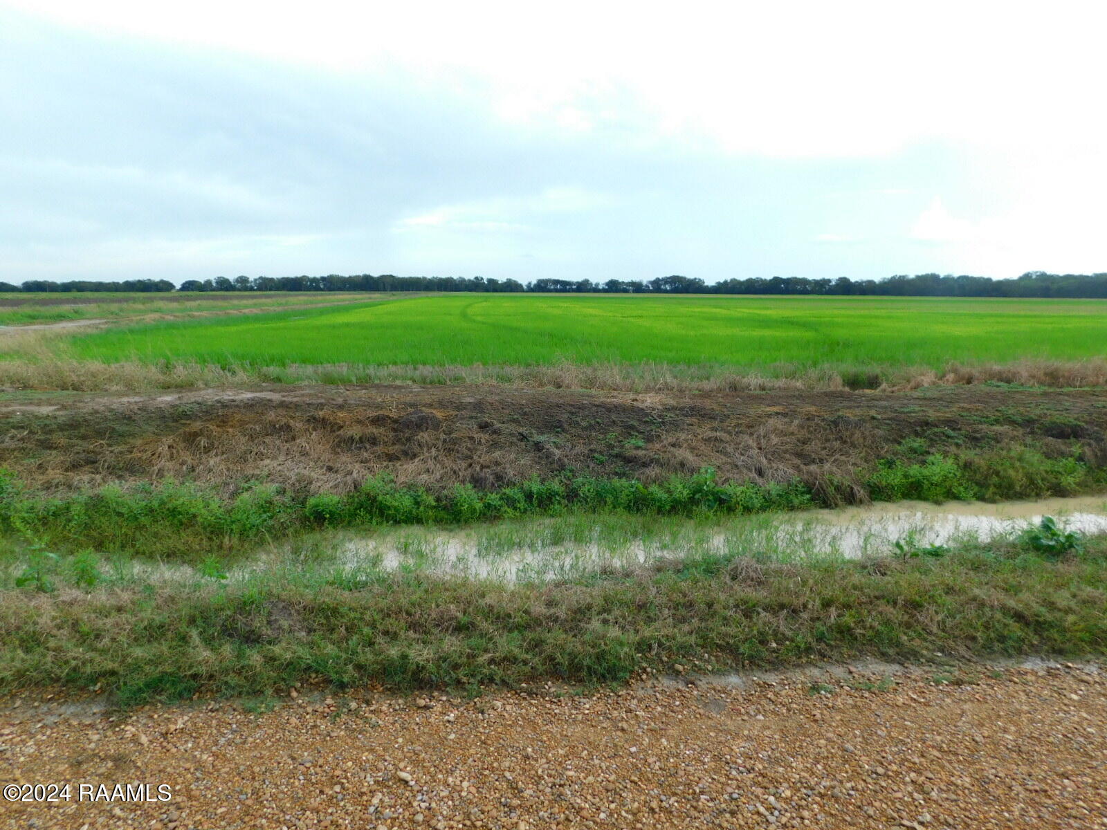 0 Gumpoint Road, Unit 4A 5A Branch, LA 70516 - Photo 4 of 7 DSCN8415