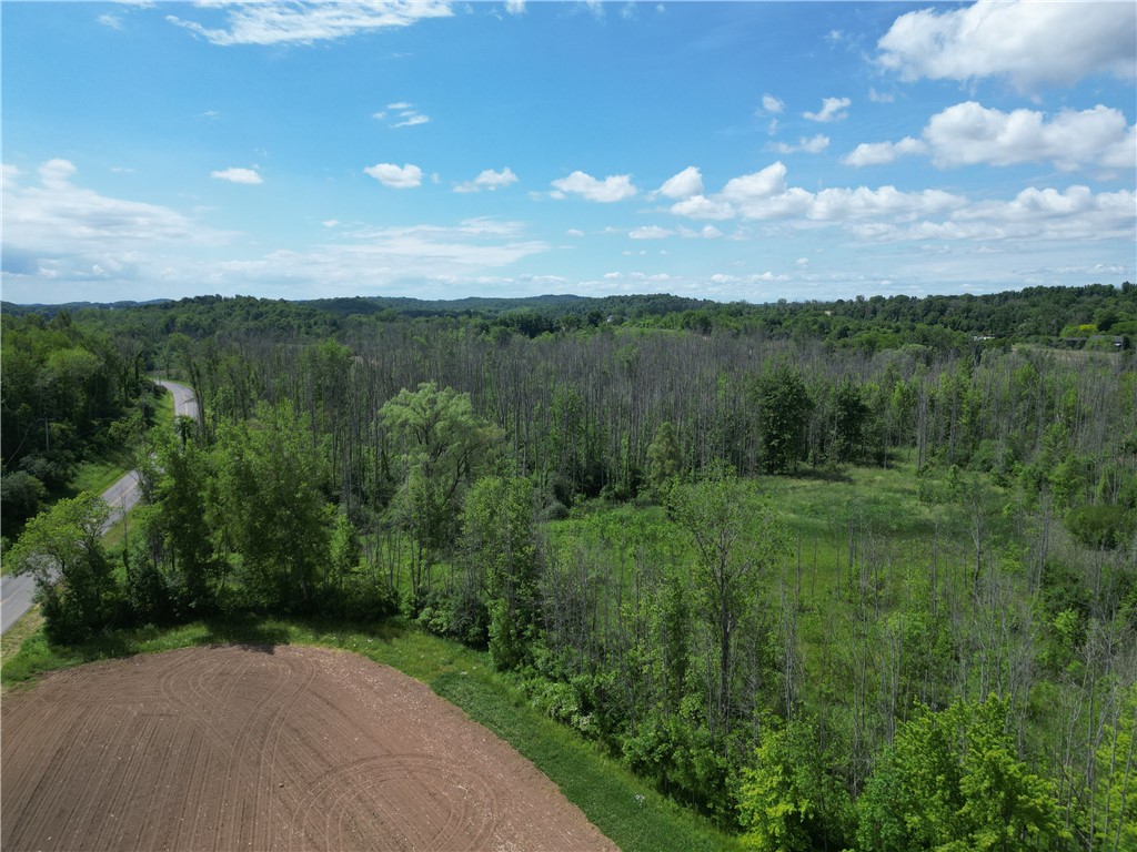 Layton St Road Lyons, NY 14489 - Photo 25 of 28