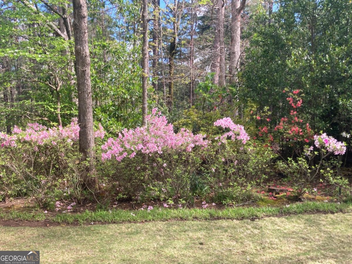 1091 Maple Ridge Way Greensboro, GA 30642 - Photo 38 of 52 a small garden covered with lots of flower and trees