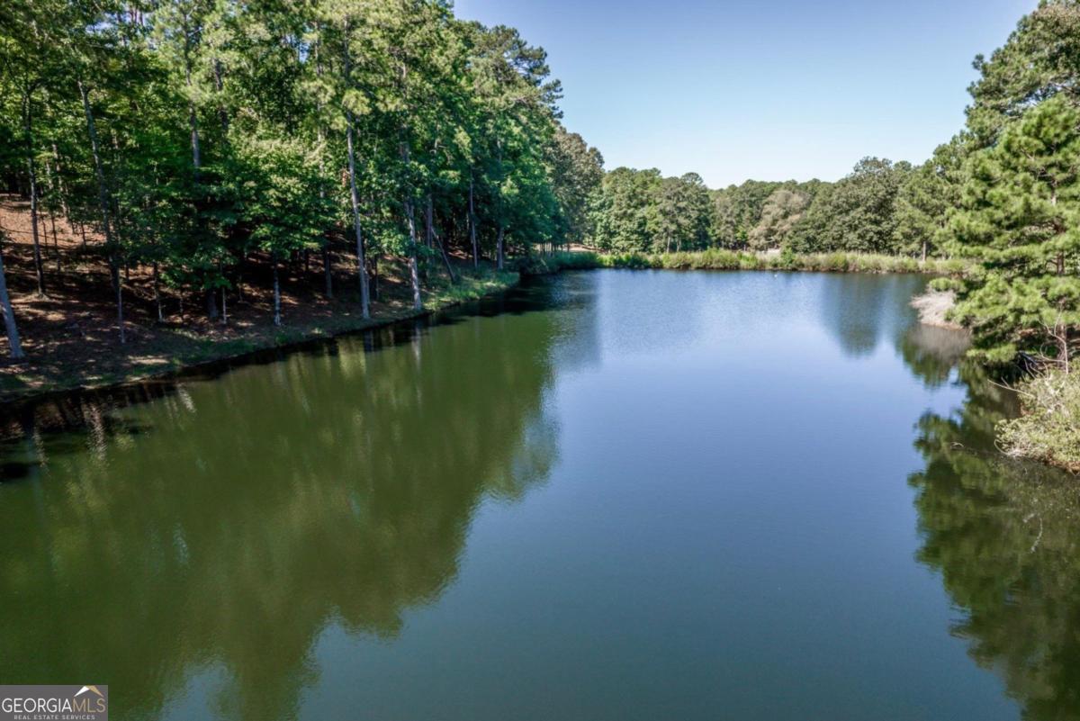 1091 Maple Ridge Way Greensboro, GA 30642 - Photo 39 of 52