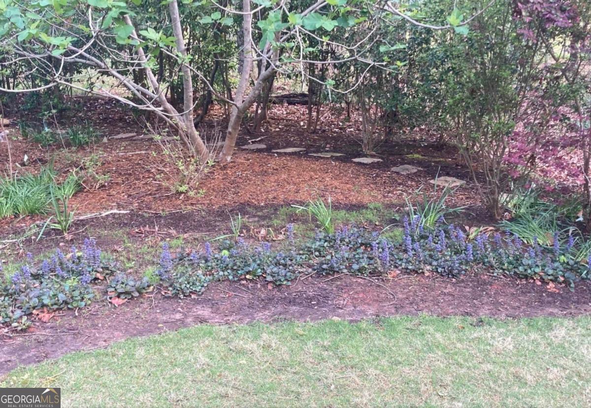 1091 Maple Ridge Way Greensboro, GA 30642 - Photo 41 of 52 a view of a yard