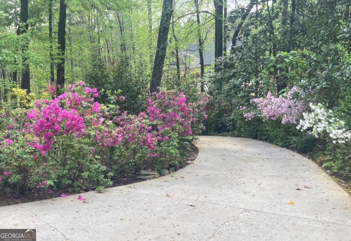 1091 Maple Ridge Way Greensboro, GA 30642 - Photo 46 of 52 a view of a garden with flowers and trees