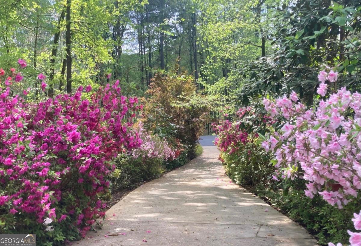 1091 Maple Ridge Way Greensboro, GA 30642 - Photo 47 of 52 a view of a flower arrangement in backyard