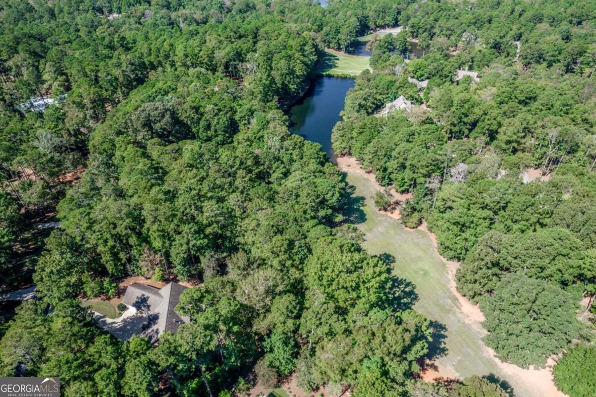 1091 Maple Ridge Way Greensboro, GA 30642 - Photo 48 of 52 an aerial view of a house with a yard and outdoor seating
