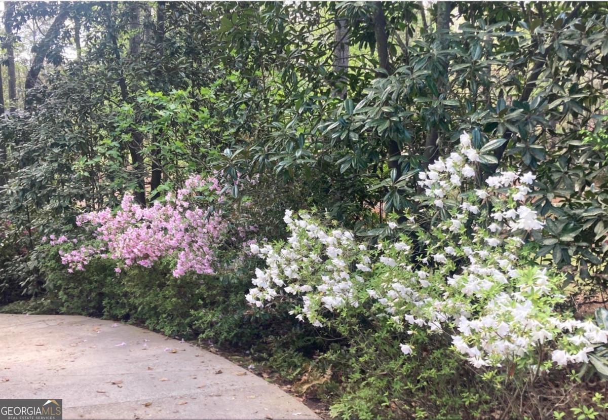 1091 Maple Ridge Way Greensboro, GA 30642 - Photo 51 of 52 a view of a yard with a tree