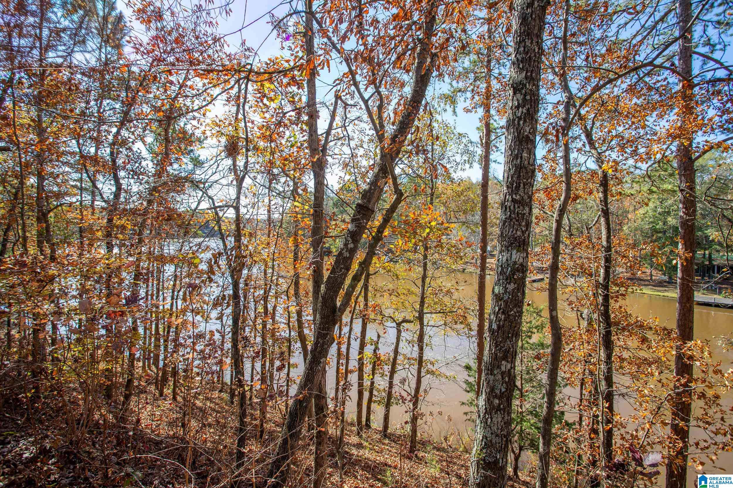 114 Lakeside Circle Delta, AL 36258 - Photo 5 of 22