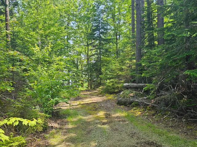 $109,000 | M26-l11.2 Boulder Road, Danforth, ME 04424